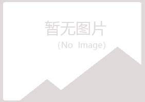 合山夏日服务有限公司